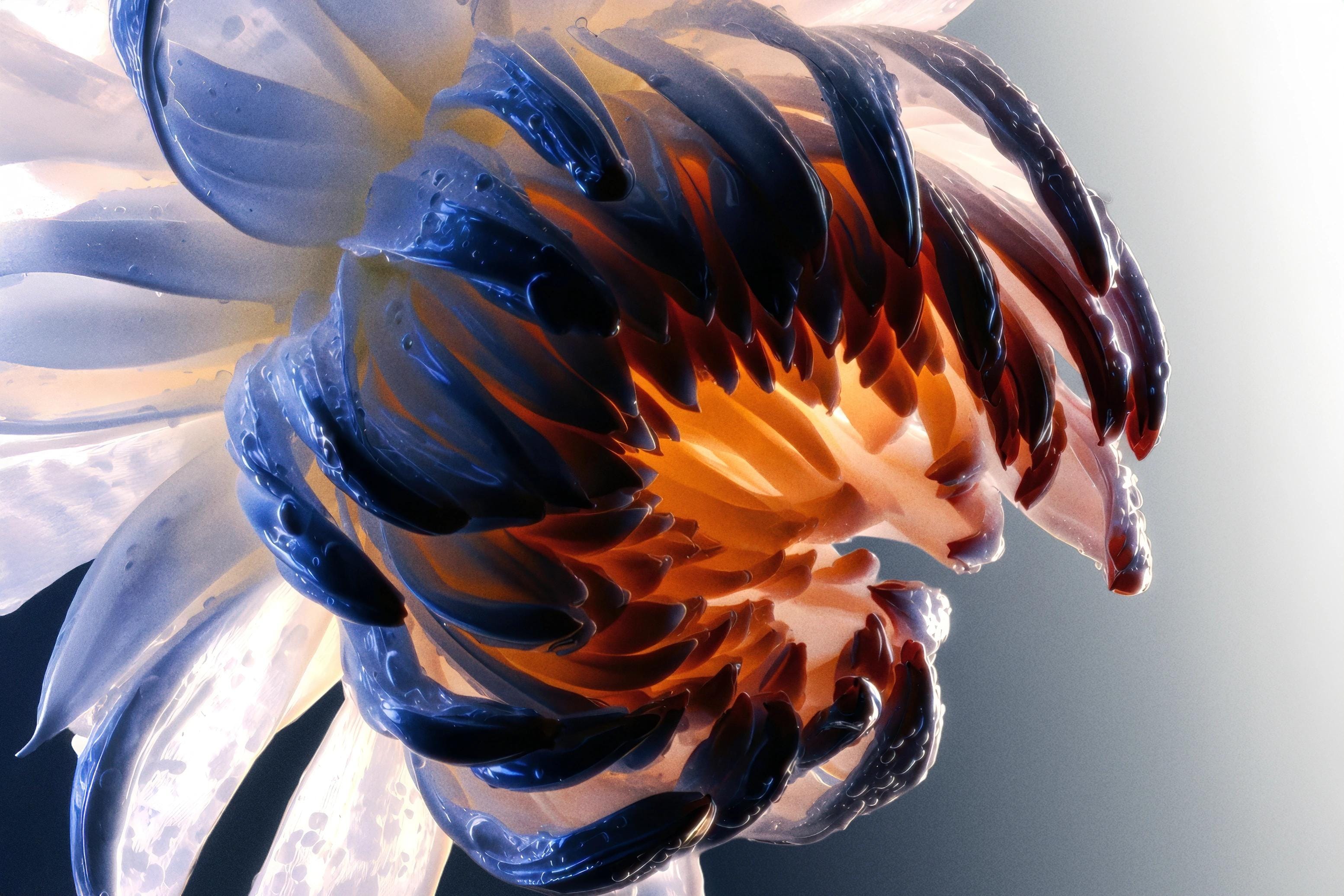 Abstract flower with dark cobalt petals and an amber-lit centre unfolding against a pale reflective background.