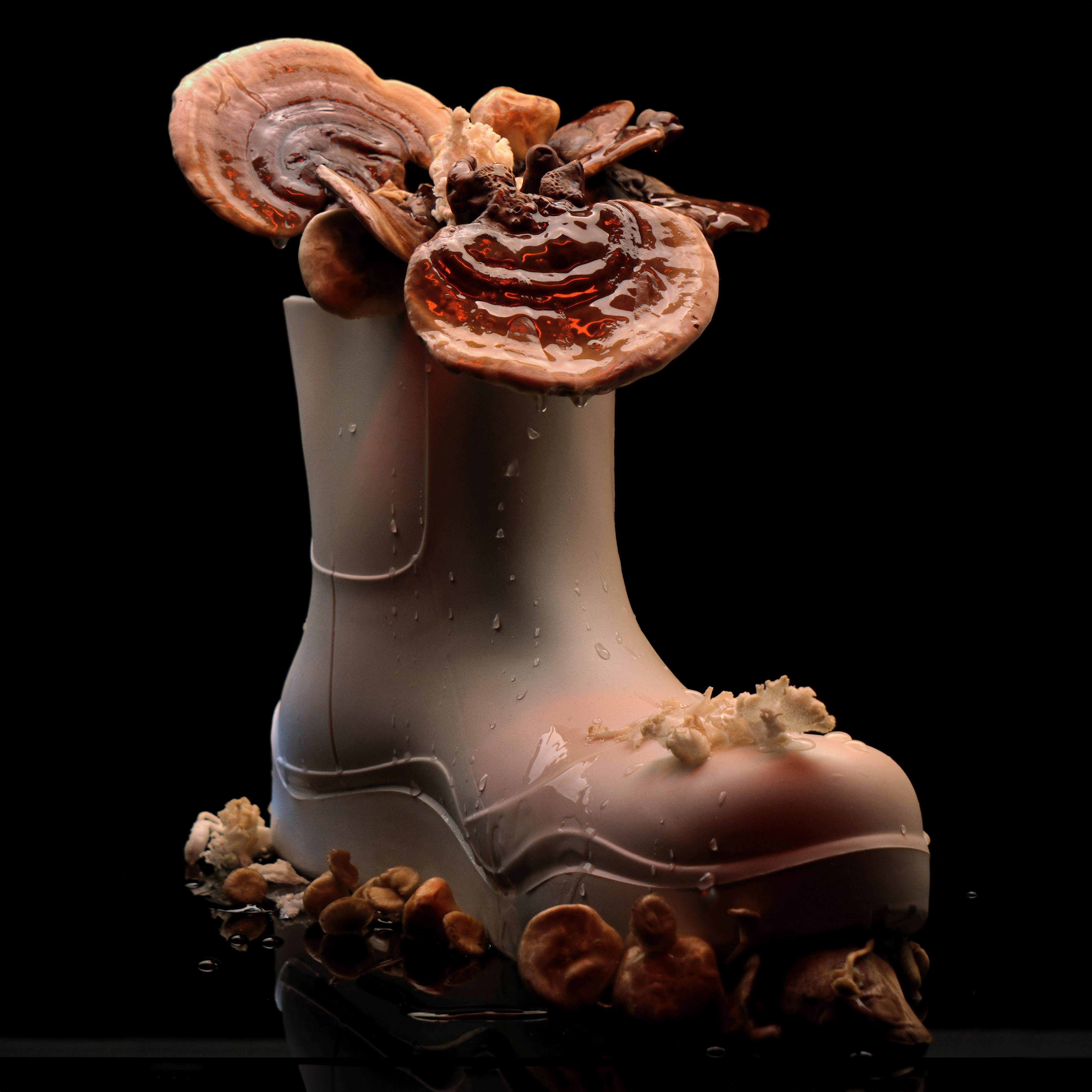 Translucent cream boot overgrown with layered bracket fungi, standing against black.