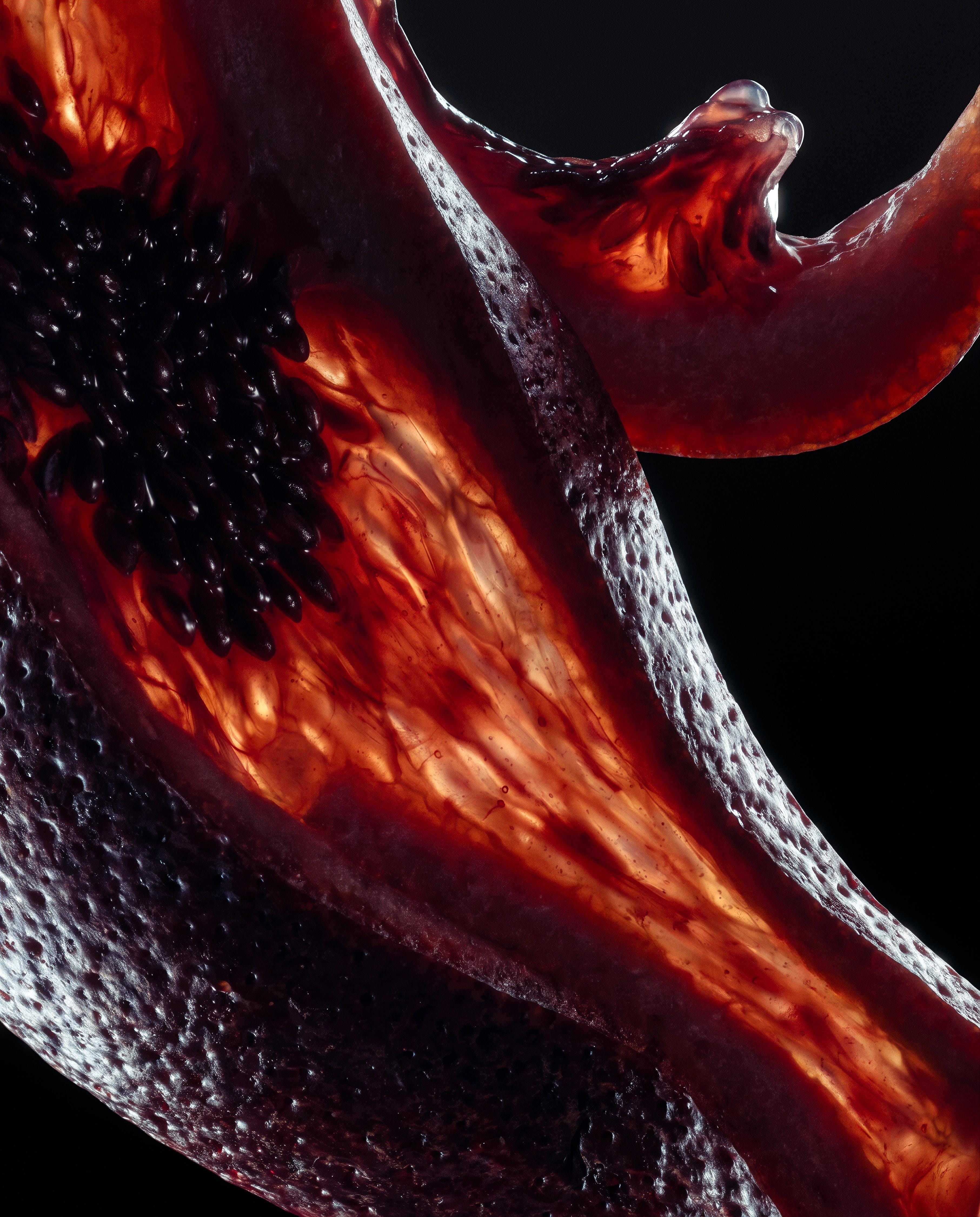 Extreme macro abstraction of crimson citrus membranes, glossy dark vesicles, translucent amber-red tissue and pitted rind against black.