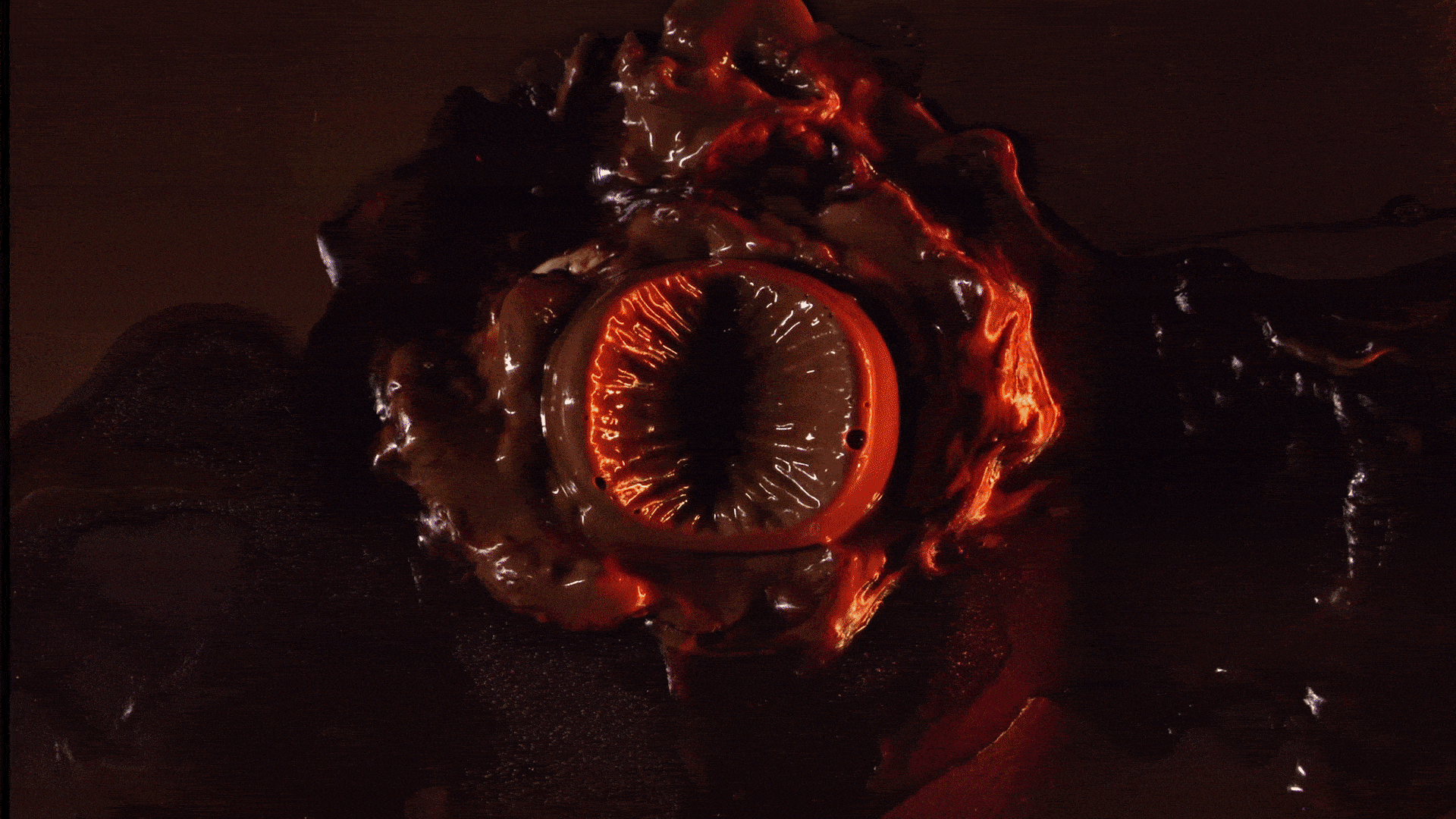 Orange-red iris emerging from a dark, viscous organic surface in a moving still from Stercus.